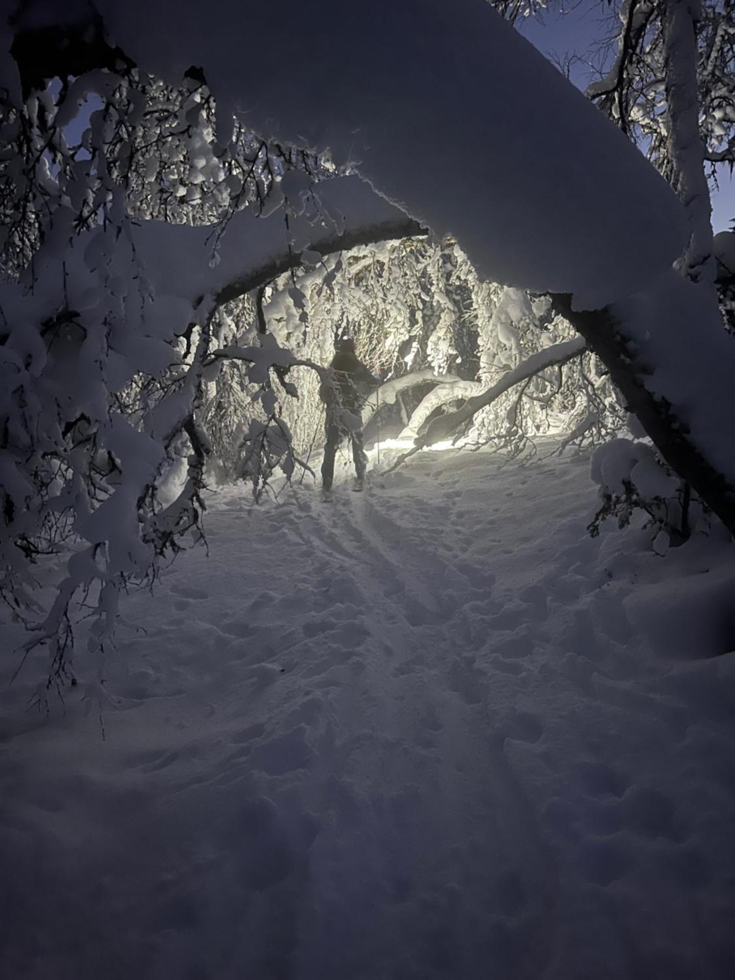 Efjord And Stetind Resort - Cabin Kobbernestinden Ballangen ภายนอก รูปภาพ