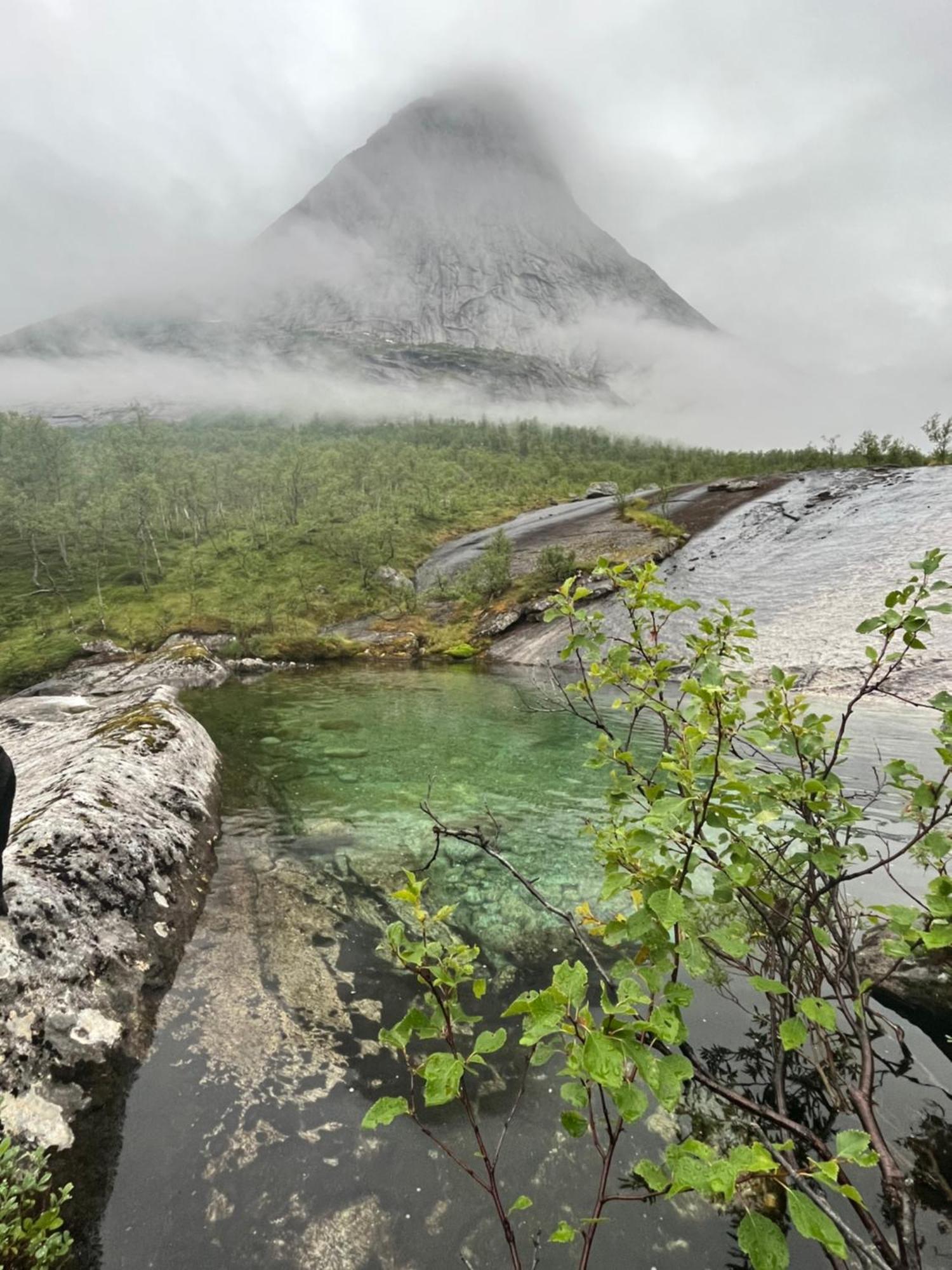 Efjord And Stetind Resort - Cabin Kobbernestinden Ballangen ภายนอก รูปภาพ