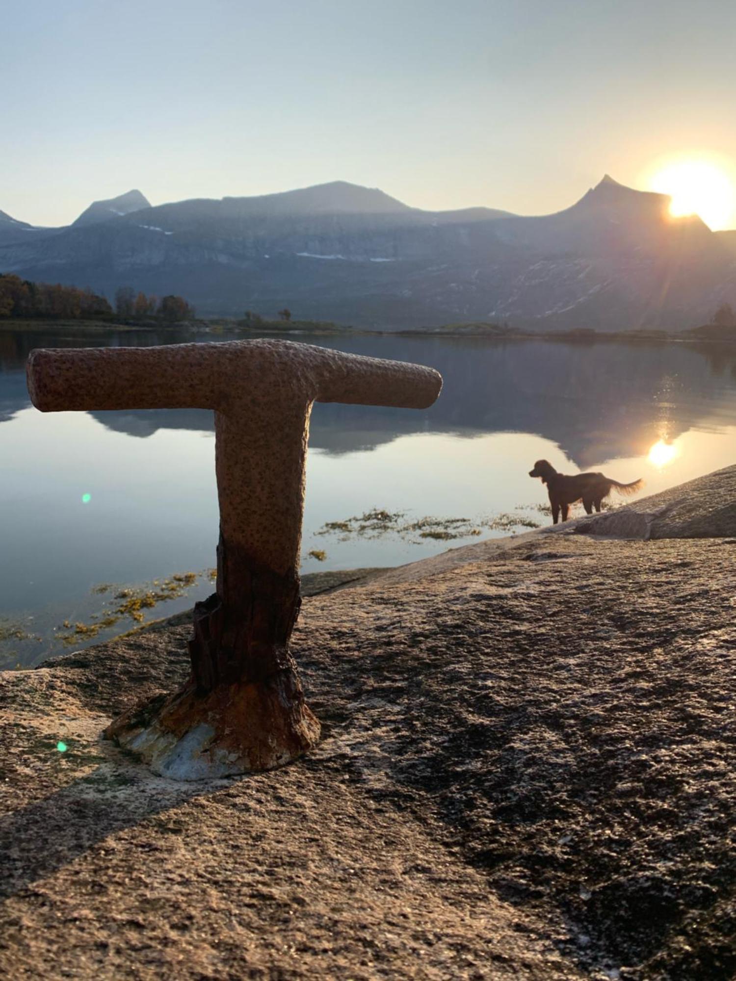 Efjord And Stetind Resort - Cabin Kobbernestinden Ballangen ภายนอก รูปภาพ