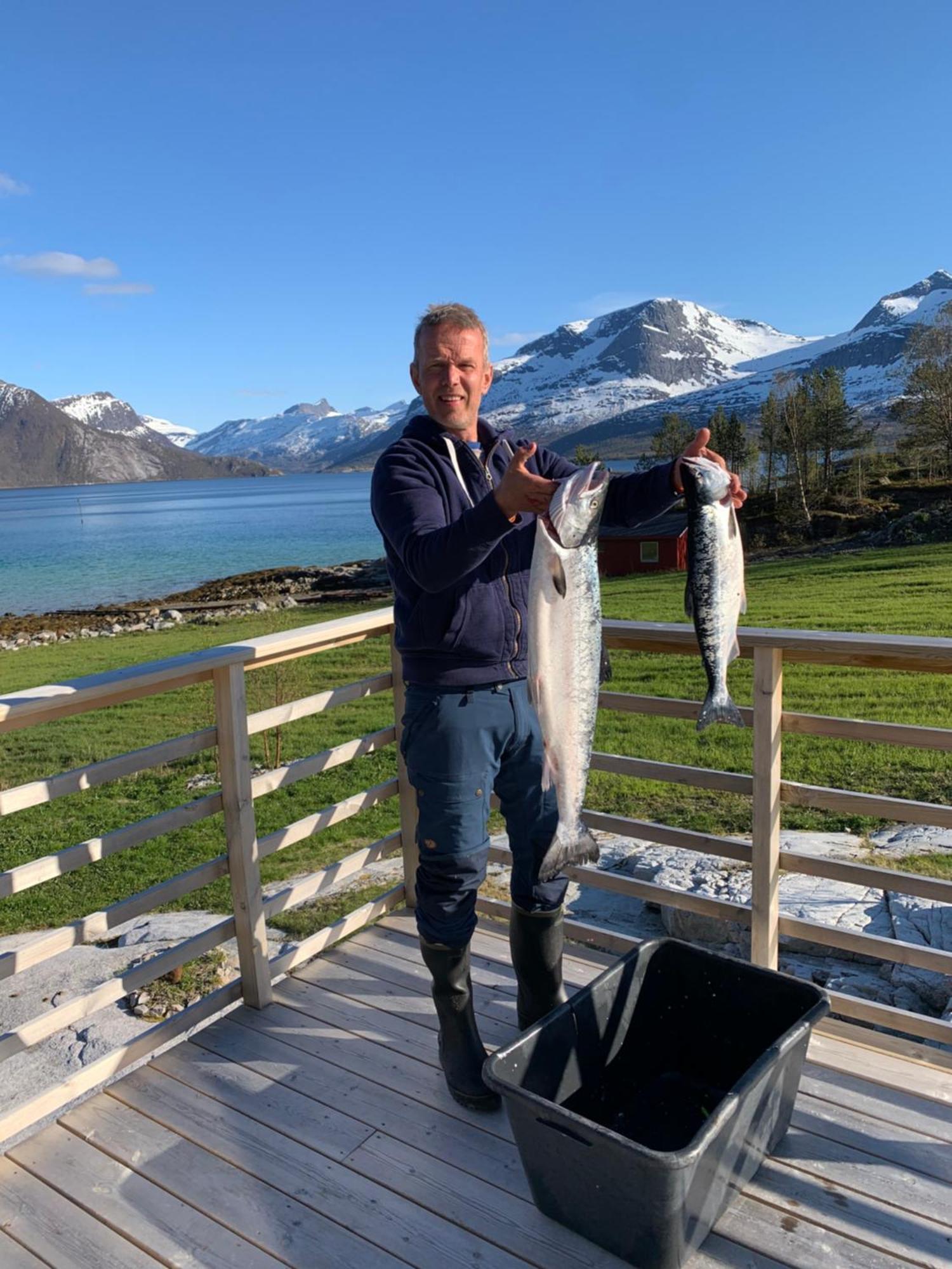 Efjord And Stetind Resort - Cabin Kobbernestinden Ballangen ภายนอก รูปภาพ